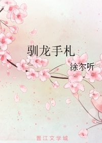 驯龙手札
